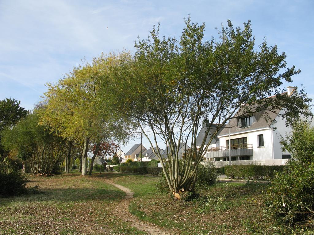 Villa Pecheur ดัมแกน ภายนอก รูปภาพ